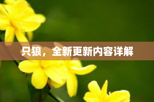 只狼，全新更新内容详解