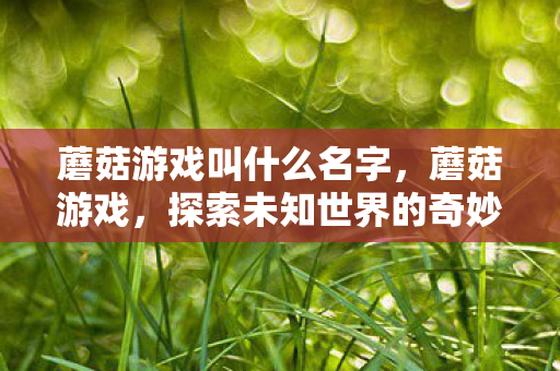 蘑菇游戏叫什么名字，蘑菇游戏，探索未知世界的奇妙之旅