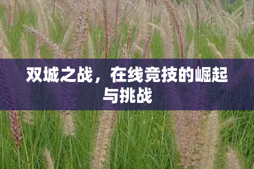 双城之战，在线竞技的崛起与挑战