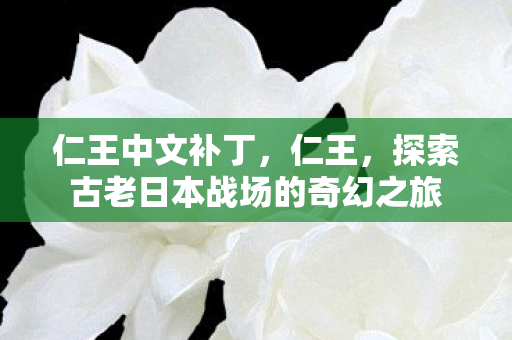 仁王中文补丁，仁王，探索古老日本战场的奇幻之旅