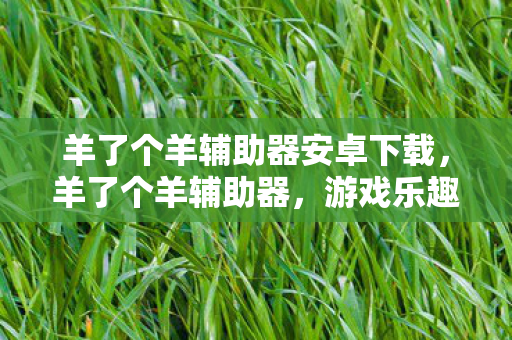 羊了个羊辅助器安卓下载,羊了个羊辅助器,游戏乐趣与辅助工具的边界 羊了个羊辅助器安卓下载,羊了个羊辅助器,游戏乐趣与辅助工具的边界