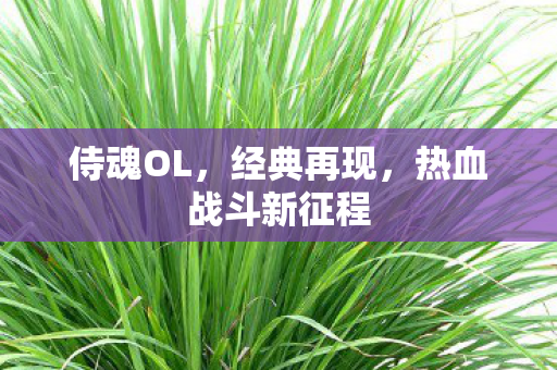 侍魂OL，经典再现，热血战斗新征程