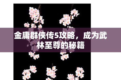 成为武林至尊的秘籍图片