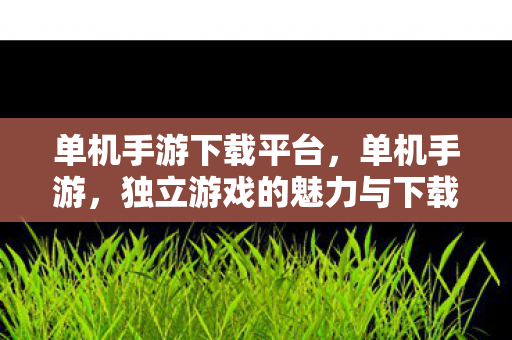单机手游下载平台，单机手游，独立游戏的魅力与下载指南