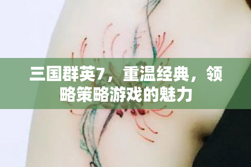 三国群英7，重温经典，领略策略游戏的魅力