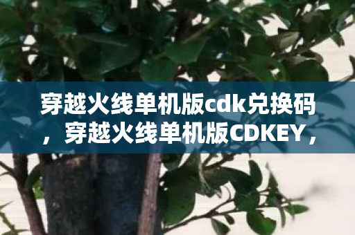 穿越火线单机版cdk兑换码，穿越火线单机版CDKEY，重温经典，无需联网的射击盛宴