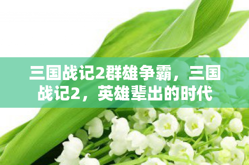 三国战记2群雄争霸，三国战记2，英雄辈出的时代
