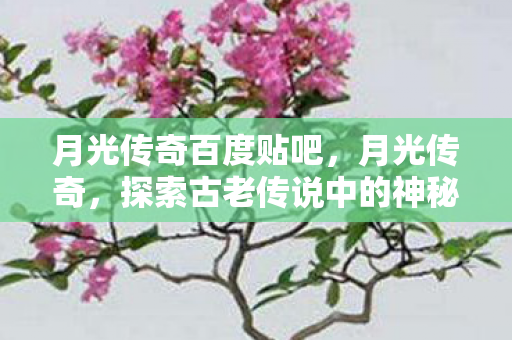 月光传奇百度贴吧，月光传奇，探索古老传说中的神秘力量