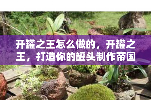 开罐之王怎么做的,开罐之王,打造你的罐头制作帝国 开罐之王怎么做的,开罐之王,打造你的罐头制作帝国