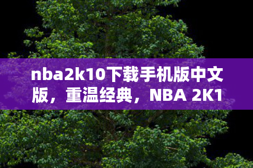 nba2k10下载手机版中文版，重温经典，NBA 2K10的传奇时刻与影响