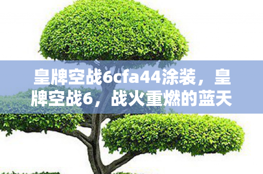 皇牌空战6cfa44涂装，皇牌空战6，战火重燃的蓝天