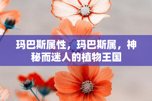 玛巴斯属性,玛巴斯属,神秘而迷人的植物王国 玛巴斯属性,玛巴斯属,神秘而迷人的植物王国