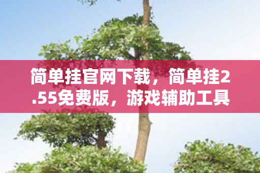 简单挂官网下载,简单挂2.55免费版,游戏辅助工具的便捷与风险 简单挂官网下载,简单挂2.55免费版,游戏辅助工具的便捷与风险