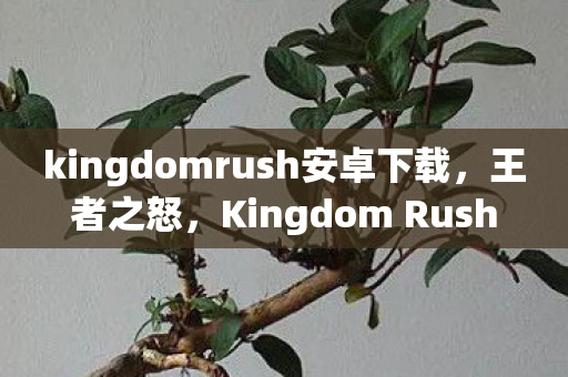 kingdomrush安卓下载，王者之怒，Kingdom Rush 系列游戏解析