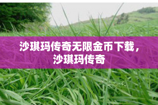 沙琪玛传奇无限金币下载，沙琪玛传奇