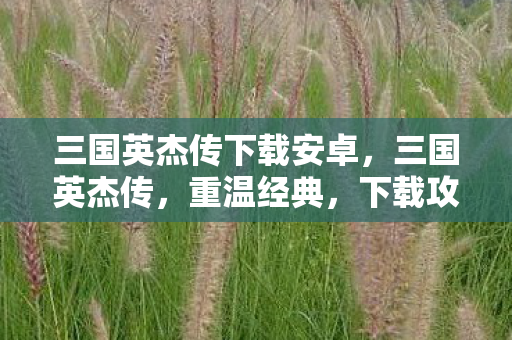 三国英杰传下载安卓，三国英杰传，重温经典，下载攻略全解析