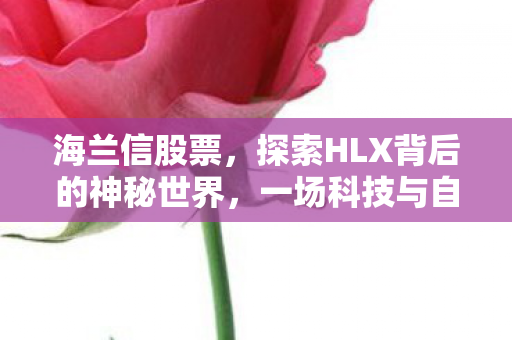 海兰信股票，探索HLX背后的神秘世界，一场科技与自然交织的奇妙之旅