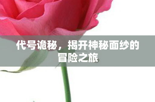代号诡秘，揭开神秘面纱的冒险之旅