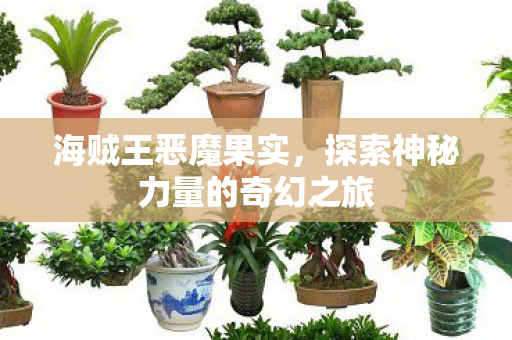 海贼王恶魔果实，探索神秘力量的奇幻之旅