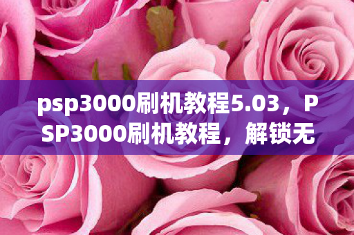 psp3000刷机教程5.03,PSP3000刷机教程,解锁无限可能,安全升级你的游戏机 psp3000刷机教程5.03,PSP3000刷机教程,解锁无限可能,安全升级你的游戏机