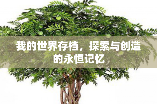 我的世界存档，探索与创造的永恒记忆