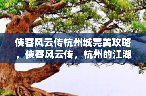 侠客风云传杭州城完美攻略,侠客风云传,杭州的江湖情仇 侠客风云传杭州城完美攻略,侠客风云传,杭州的江湖情仇
