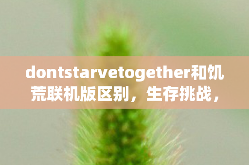 dontstarvetogether和饥荒联机版区别，生存挑战，在荒野中寻找希望