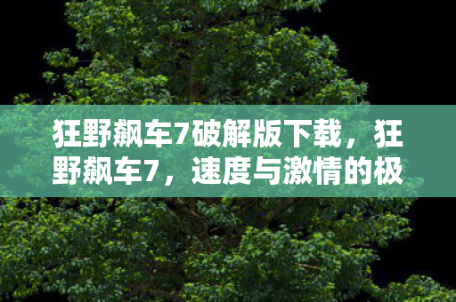 狂野飙车7破解版下载，狂野飙车7，速度与激情的极致体验