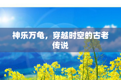 神乐万龟，穿越时空的古老传说