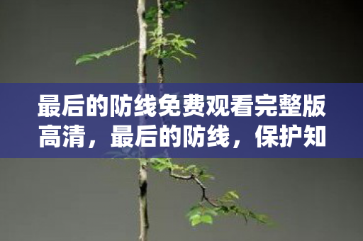 最后的防线免费观看完整版高清，最后的防线，保护知识产权的艰难战役
