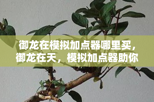 御龙在模拟加点器哪里买,御龙在天,模拟加点器助你打造最强角色 御龙在模拟加点器哪里买,御龙在天,模拟加点器助你打造最强角色