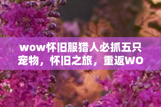 wow怀旧服猎人必抓五只宠物，怀旧之旅，重返WOW怀旧服，重温经典与回忆