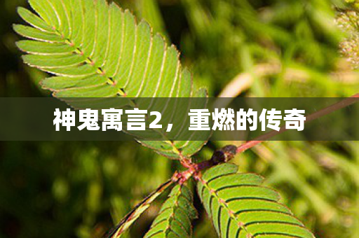 神鬼寓言2，重燃的传奇