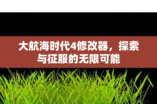 大航海时代4修改器，探索与征服的无限可能