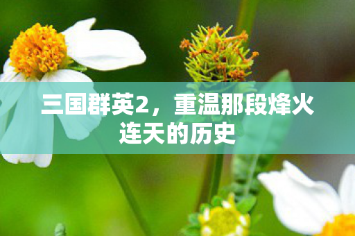三国群英2，重温那段烽火连天的历史