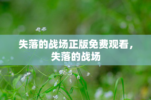 失落的战场正版免费观看,失落的战场 失落的战场正版免费观看,失落的战场