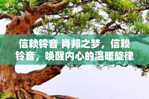 信赖铃音 肖邦之梦，信赖铃音，唤醒内心的温暖旋律