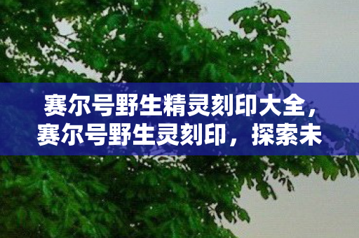 赛尔号野生精灵刻印大全,赛尔号野生灵刻印,探索未知世界的神秘力量 赛尔号野生精灵刻印大全,赛尔号野生灵刻印,探索未知世界的神秘力量