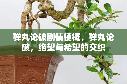 弹丸论破剧情梗概，弹丸论破，绝望与希望的交织