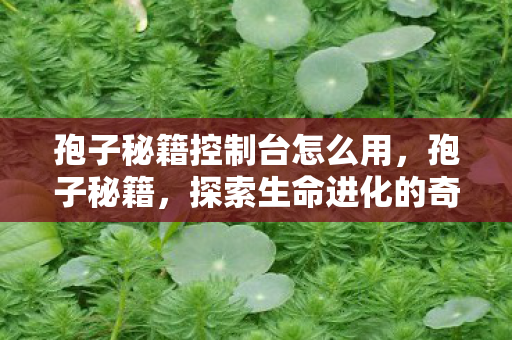孢子秘籍控制台怎么用,孢子秘籍,探索生命进化的奇妙之旅 孢子秘籍控制台怎么用,孢子秘籍,探索生命进化的奇妙之旅