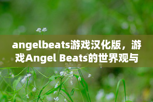 angelbeats游戏汉化版，游戏Angel Beats的世界观与深度解析