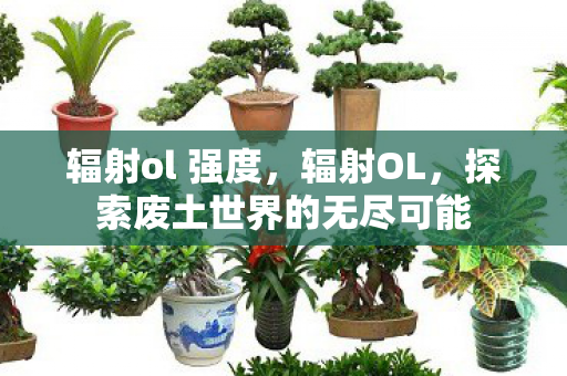 辐射ol 强度，辐射OL，探索废土世界的无尽可能