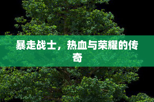 热血与荣耀的传奇图片