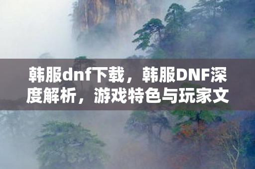 韩服dnf下载，韩服DNF深度解析，游戏特色与玩家文化