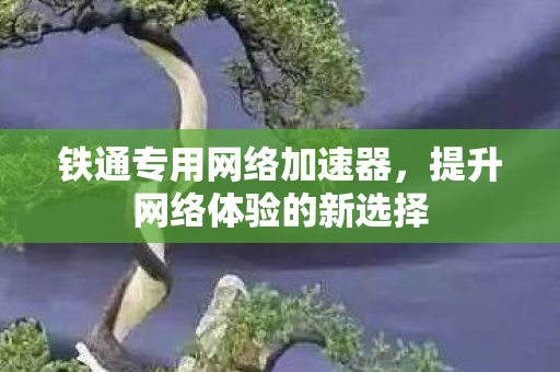 铁通专用网络加速器，提升网络体验的新选择