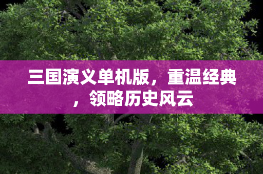 三国演义单机版，重温经典，领略历史风云