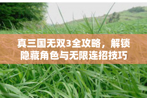 真三国无双3全攻略，解锁隐藏角色与无限连招技巧