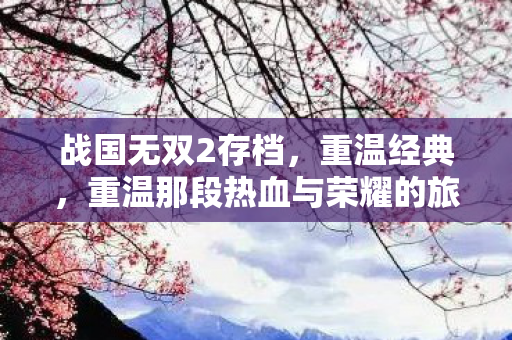 战国无双2存档，重温经典，重温那段热血与荣耀的旅程