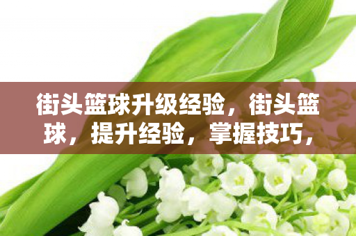 街头篮球升级经验,街头篮球,提升经验,掌握技巧,成为球场霸主 街头篮球升级经验,街头篮球,提升经验,掌握技巧,成为球场霸主