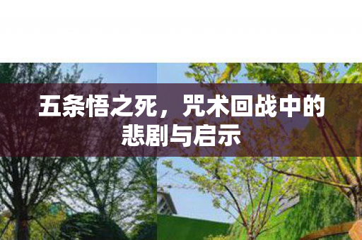 五条悟之死，咒术回战中的悲剧与启示